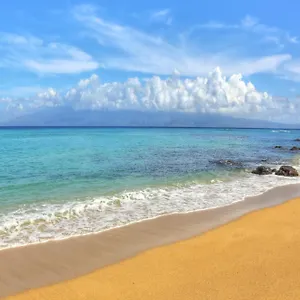 https://valley-isle-resort-309.hotelsinhawaii.org